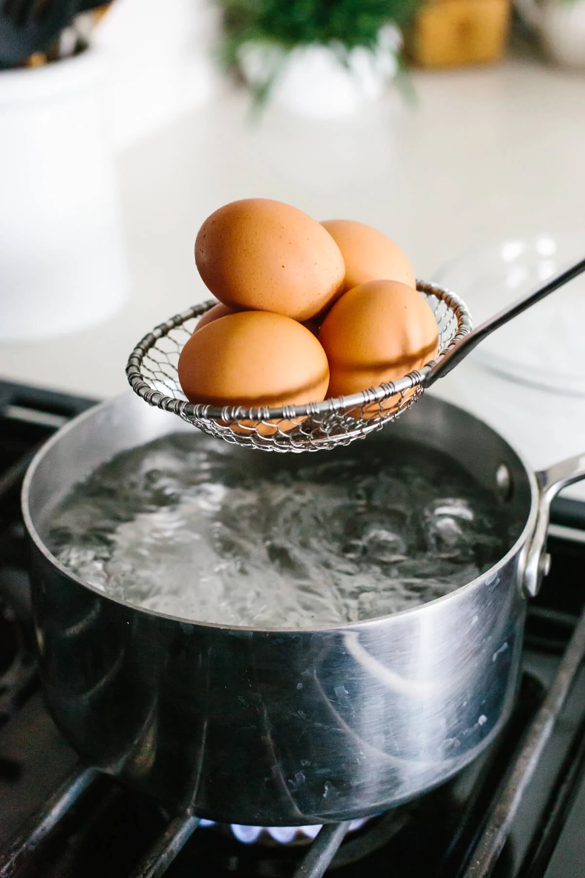 Place eggs into a pot of hot water.