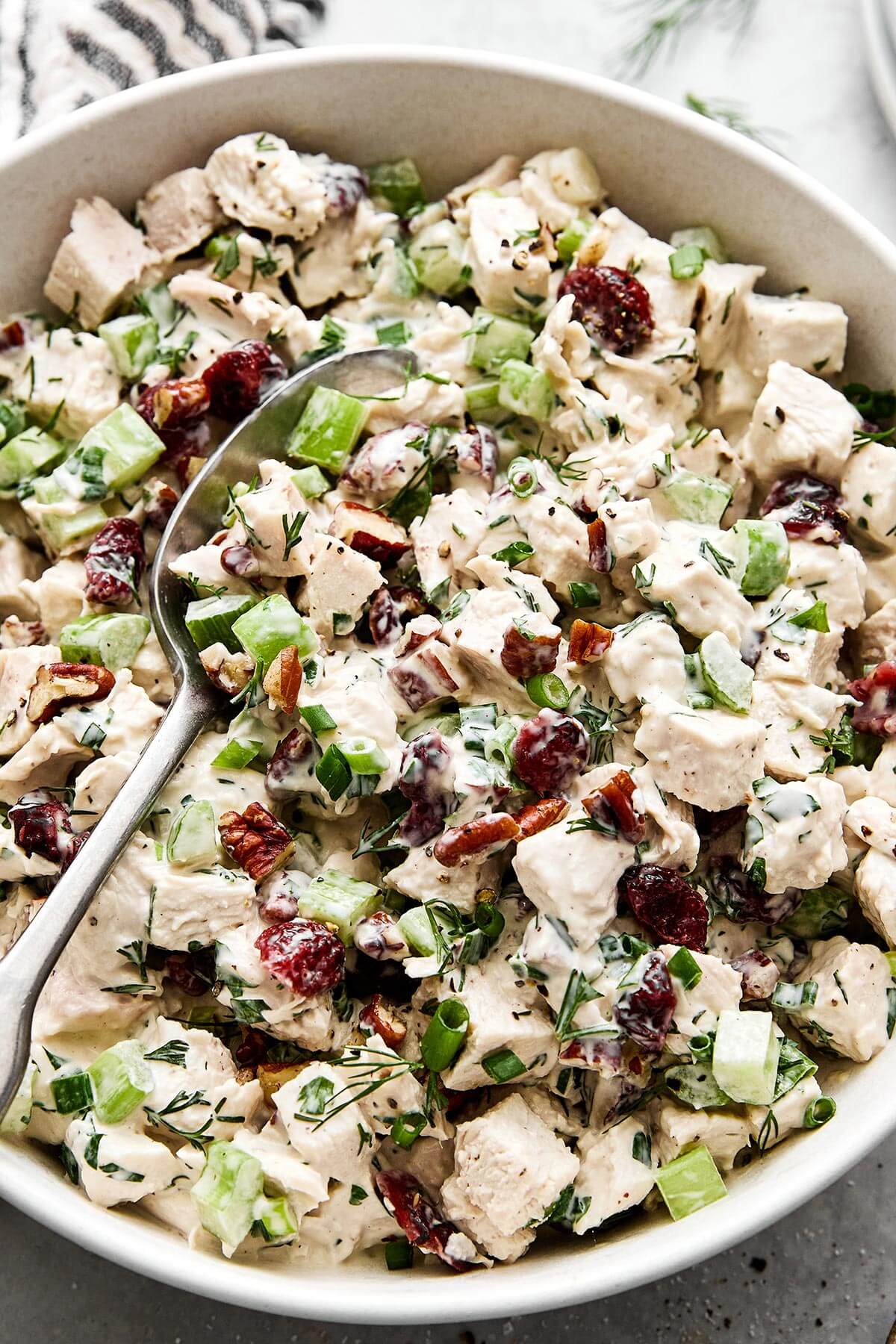 A bowl of turkey salad with cranberries.